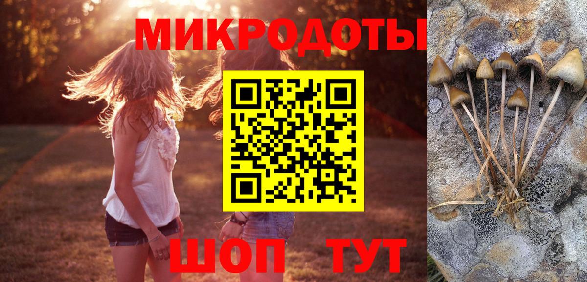 Псилоцибиновые грибы GOLDEN TEACHER  Вход с VPN  Усть-Джегута 