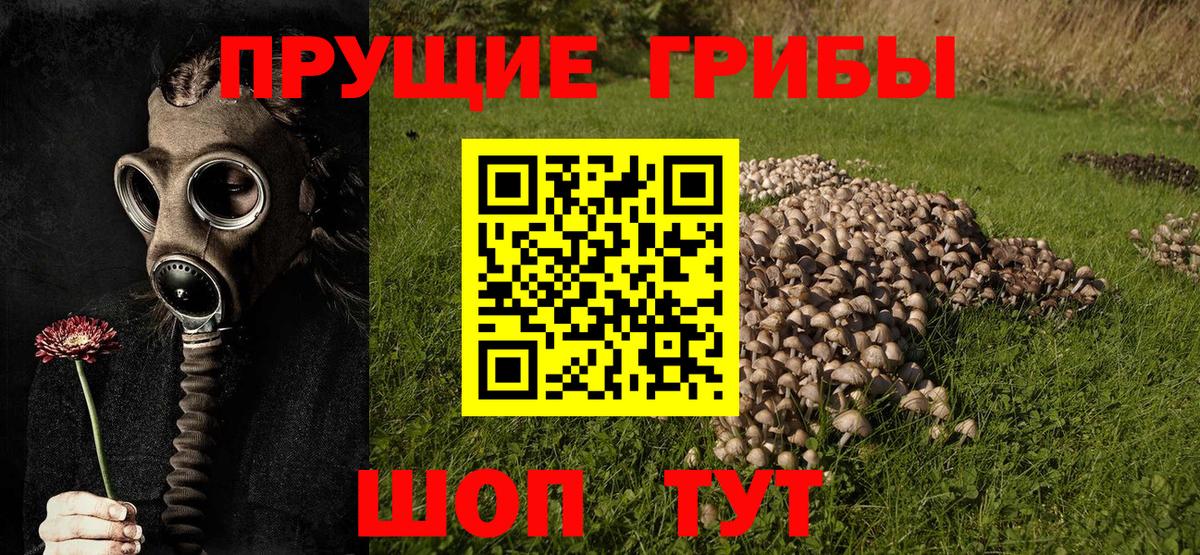 Галлюциногенные грибы Magic Shrooms Усть-Джегута